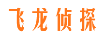 佛山飞龙私家侦探公司